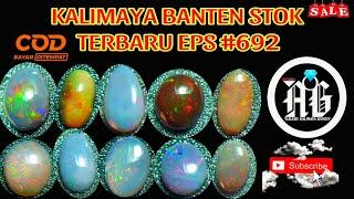 EPS 692 | TERBARU LAGI PAK BOS | KALIMAYA NATURAL BANTEN 