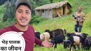 पहाड़ों में मरुड़ा/छानी में रहने वाले लोगों का जीवन || Mandani Valley Trek || Cool Pahadi