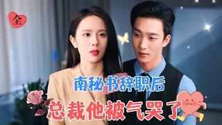 After Secretary Nan Quit, the CEO Was Driven to Tears | Yao Guanyu New Drama