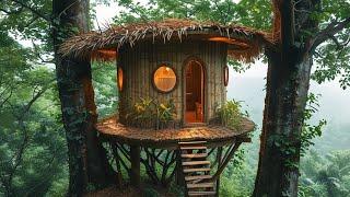 A single man builds a unique home among ancient trees