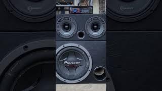 Pioneer 307 + ds440x4