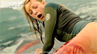 Attaque de requin | Instinct de survie - The Shallows