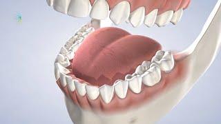 Post-Operative Instructions: Orthognathic Surgery (24 hrs) | Oral Surgery Specialists of Oklahoma