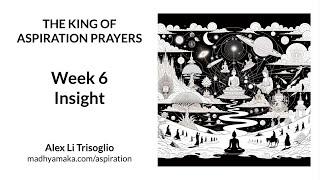 Aspiration Week 6 - Insight