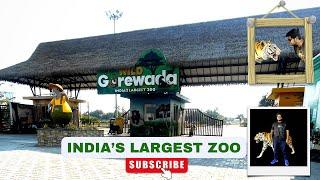 Gorewada Zoo Nagpur| Balasaheb Thackeray Gorewada International Zoological Park|Indias largest zoo