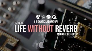 Life Without Reverb?