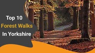 Top 10  Forest Walks in Yorkshire  #topten #forests #yorkshire #nature #discovery