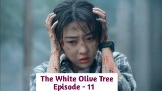 Episode - 11 || The White Olive Tree Explained in Thadou Kuki