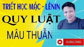 Quy luật mâu thuẫn (thống nhất và đấu tranh của các mặt đối lập)