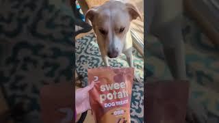 Dog Training Treats  Healthy Dog Treat  Best Dog Treats Review #dogtreats