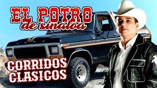 El Potro De Sinaloa - Puros Corridos Viejitos Con Banda Sinaloense (Album Completo)