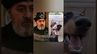 "Ertugrul Ghazi Characters as Animals: Best Animal Representations" #dirilisertugrul #shorts #viral