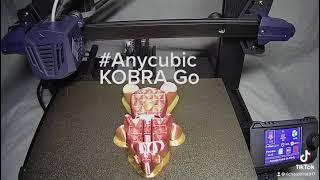 Anycubic kobra go testing