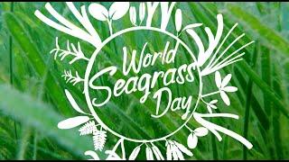 Global challenges for seagrass conservation