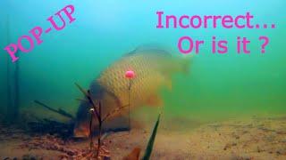 Underwater carp fishing camera. Pop-up test / Zemūdens karpu kamera