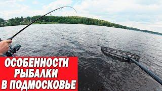 Стоит ли ловить рыбу в ПОДМОСКОВЬЕ? Или уехать дальше от Москвы?