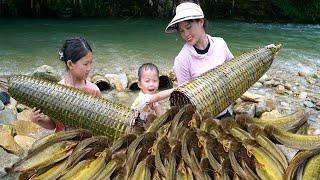 Toan Harvesting Stream Fish By Blocking The Water Flow And Using Bamboo Baskets To Trap The Fish