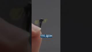 Китай Создал Шпиона в Виде ДРОНА-КОМАРА