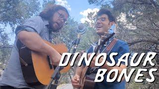 Jackson Emmer - Dinosaur Bones (Wimberley Session)