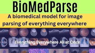 BiomedParse - Model for Medical Imaging Parsing