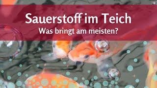 Sauerstoff für den Teich: Helfen Springbrunnen oder Wasserfälle?