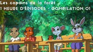 Les copains de la forêt - 1 heure d'épisodes - compilation 01