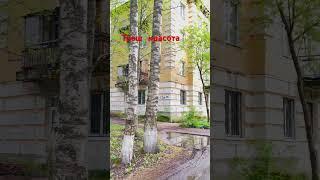 Красота или заброшка ? Здесь живут #дача #reels #квартира  #motivation