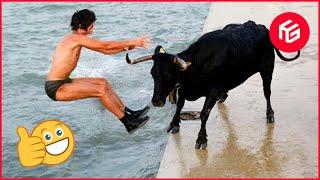 Best Funny Videos Of The Week #202  TRY NOT TO LAUGH  Hilarious Instant Regret Fails Compilation