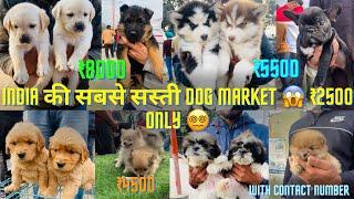 India की सबसे सस्ती Dog Market  ₹2500 only ‍