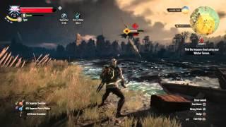 The Witcher 3: Sign Build vs Red Skull Enemy (Death March NG+)