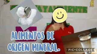 Clases virtuales - Alimentos de origen mineral. Miss Rosangel Villafranca.