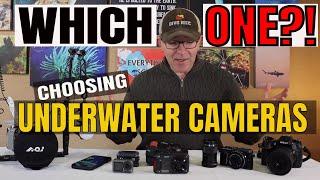 Best Cameras for Underwater Photography