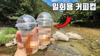 이게 되네요?? 일회용 커피컵을 계곡 바위틈에 꽂아뒀더니...?