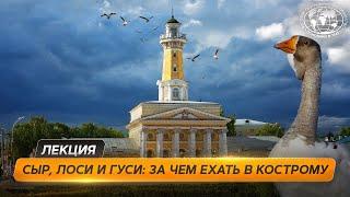 Путешествие по Костромской области: сыр, гуси и лоси  | @Русское географическое общество