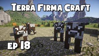 TerraFirmaCraft - #18 - Making Cheese