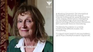 Rock Stars go Beyond Psychedelics with Amanda Feilding