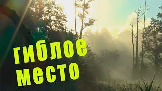 ГИБЛОЕ МЕСТО  Загадочная история от старого таежника