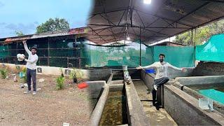 Tushar Bhai Ke Farm Se Turtles Leke Aaye #fishpetfarm