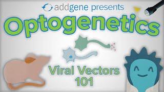 Optogenetics - Viral Vectors 101