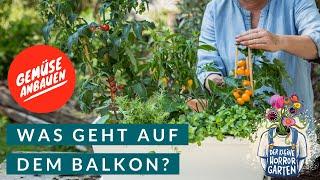 Balkon-Gemüse anbauen für Anfänger I der kleine Horrorgarten