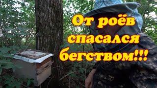 ПОЕХАЛ ЗА ЧЕТЫРЬМЯ РОЯМИ ПОЙМАНЫХ В ЛОВУШКУ, ПРИВЁЗ И ПОКУСАЛИ.