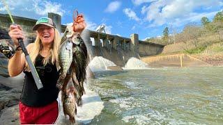 Catching SPILLWAY SLABS, SWAMP CATFISH, and BIG BLUEGILL for a FEAST!  CATCH, CLEAN and COOK!