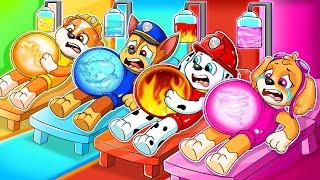 BREWING CUTE BABY & BREWING CUTE PREGNANT, BUT ELEMENTAL - Paw Patrol Ultimate Rescue - Rainbow 3