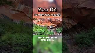 Zion 101 #travel #nationalpark #hiking #zion