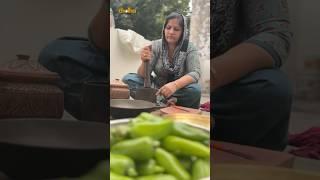 Mirchi Ka Achar | Winter Special | Rajasthani Recipe | Village Foods | #desi #chulha #viralvideo