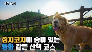 [Virtual walking tour Jejuisland] 제주도 섭지코지 송이길 산책로