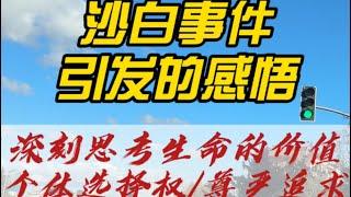 沙白事件引发的感悟，深刻思考生命的价值、个体选择权、尊严追求及移民感悟。