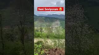 Seni seviyorum  #eğlence #tuttur #tutturdur #shortvideo #yayla #çiçek