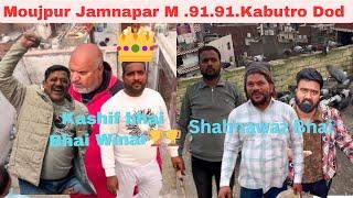 Moujpur jamnapar me 91-91 Kabutro ki dod Aaj 23/12/2024 kashif vs Shahnawaz Kashif bhai Winer