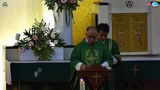 Misa Harian Selasa, 02 Juli 2024 pk. 05.30 WIB - Novena Santo Antonius hari ke 3